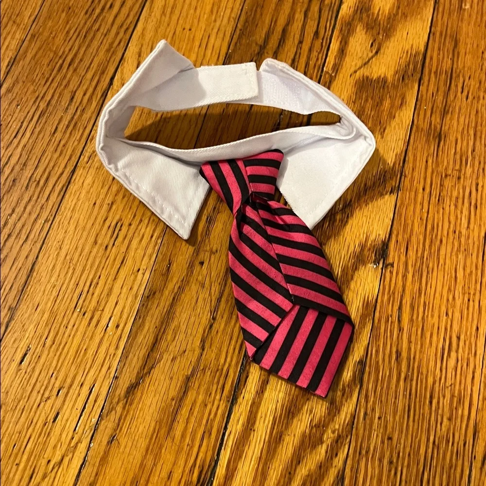 Striped Pink and Black Dog Collar with Tie